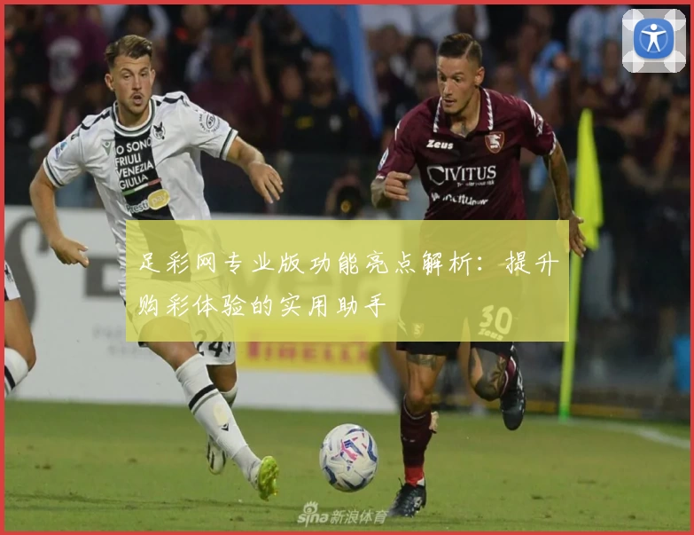 足彩网专业版功能亮点解析：提升购彩体验的实用助手