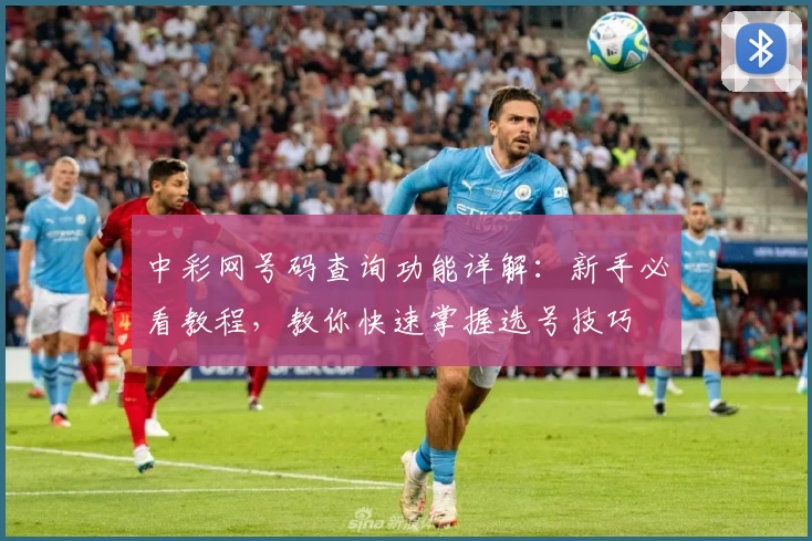中彩网号码查询功能详解：新手必看教程，教你快速掌握选号技巧