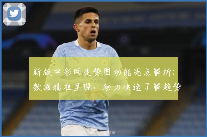 新版中彩网走势图功能亮点解析：数据精准呈现，助力快速了解趋势