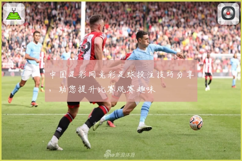 中国足彩网竞彩足球投注技巧分享，助您提升比赛观赛趣味