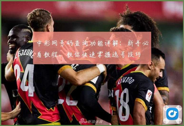 中彩网号码查询功能详解：新手必看教程，教你快速掌握选号技巧
