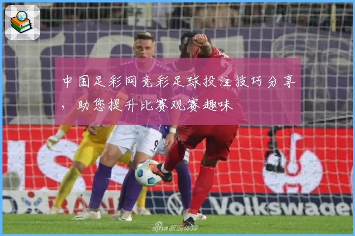中国足彩网竞彩足球投注技巧分享,助您提升比赛观赛趣味